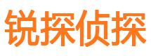 山亭市私家侦探